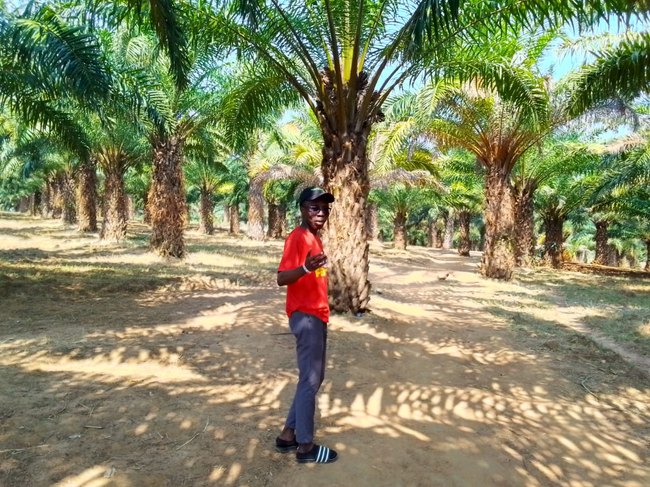 Field research in Rumonge